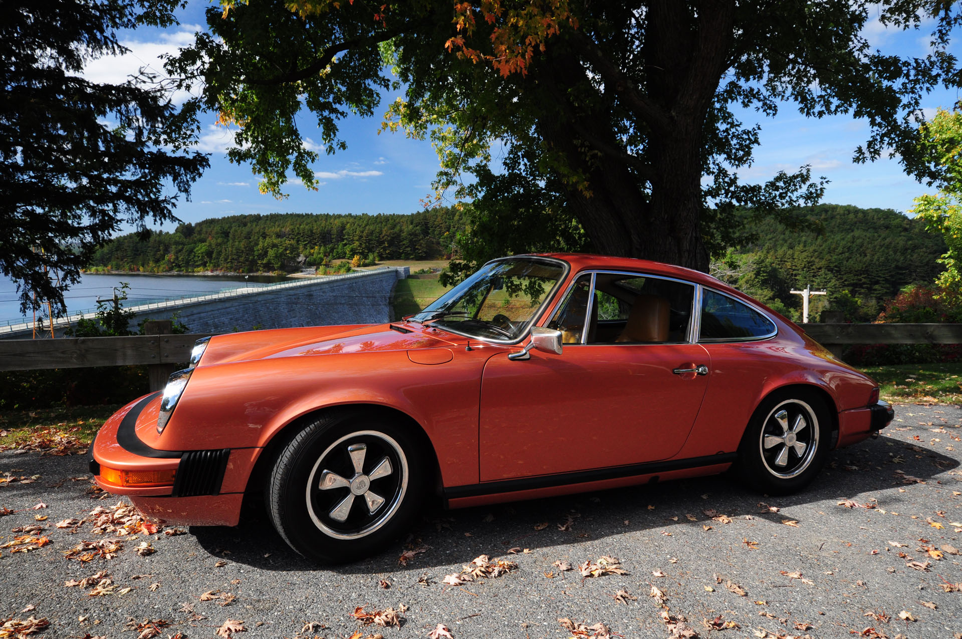 Salmon Metallic L036 Porsche Colors