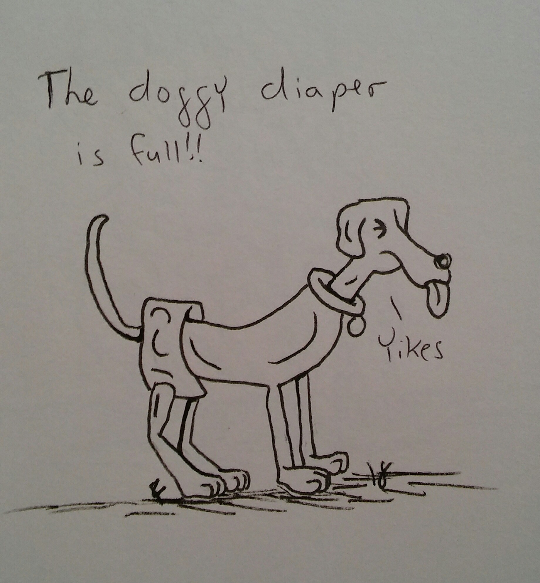 Isaac and friends The alternative to a pooper scooper..