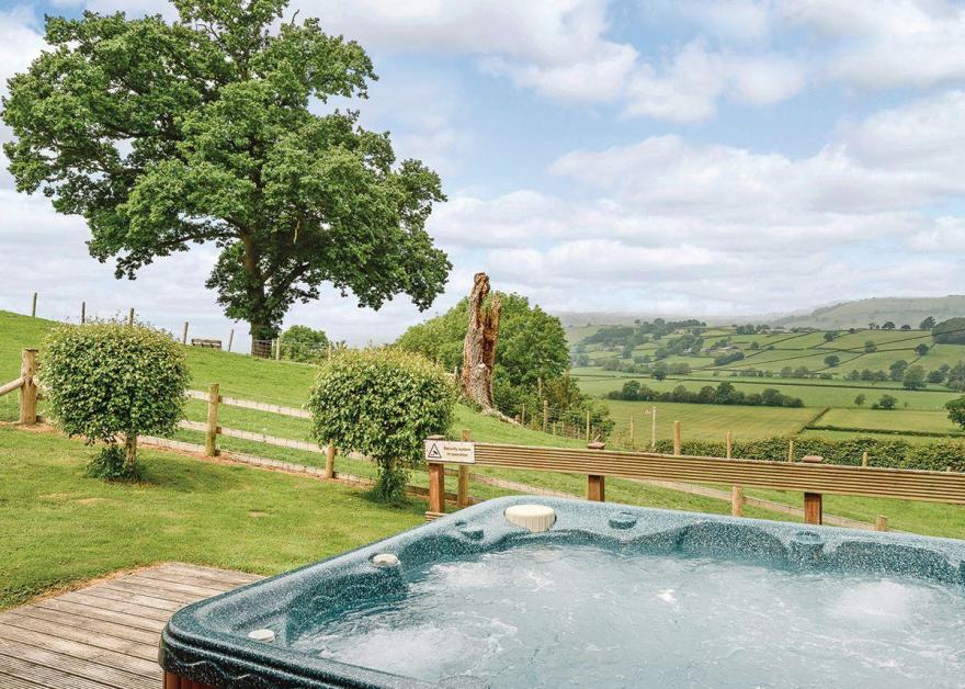 Bluebell Lodge, Log Cabins to Rent in Wales