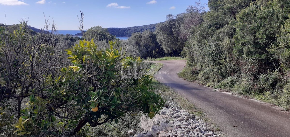 Hauses for sale Molunat Croatia