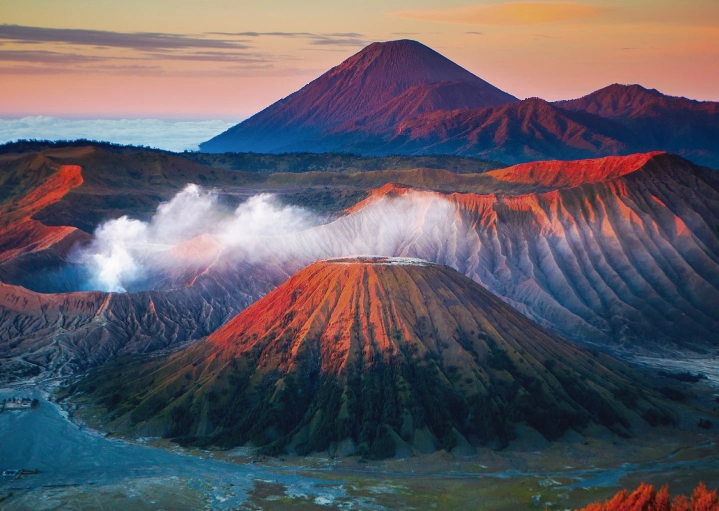 Best places to stay in Kuta Get up to 23 off CuddlyNest