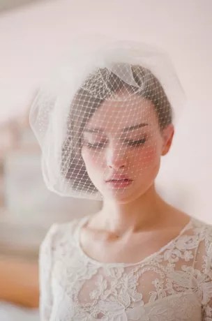 Double Layer Full Birdcage Veil David's Bridal