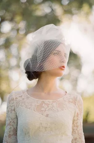 Double Layer Full Birdcage Veil David's Bridal