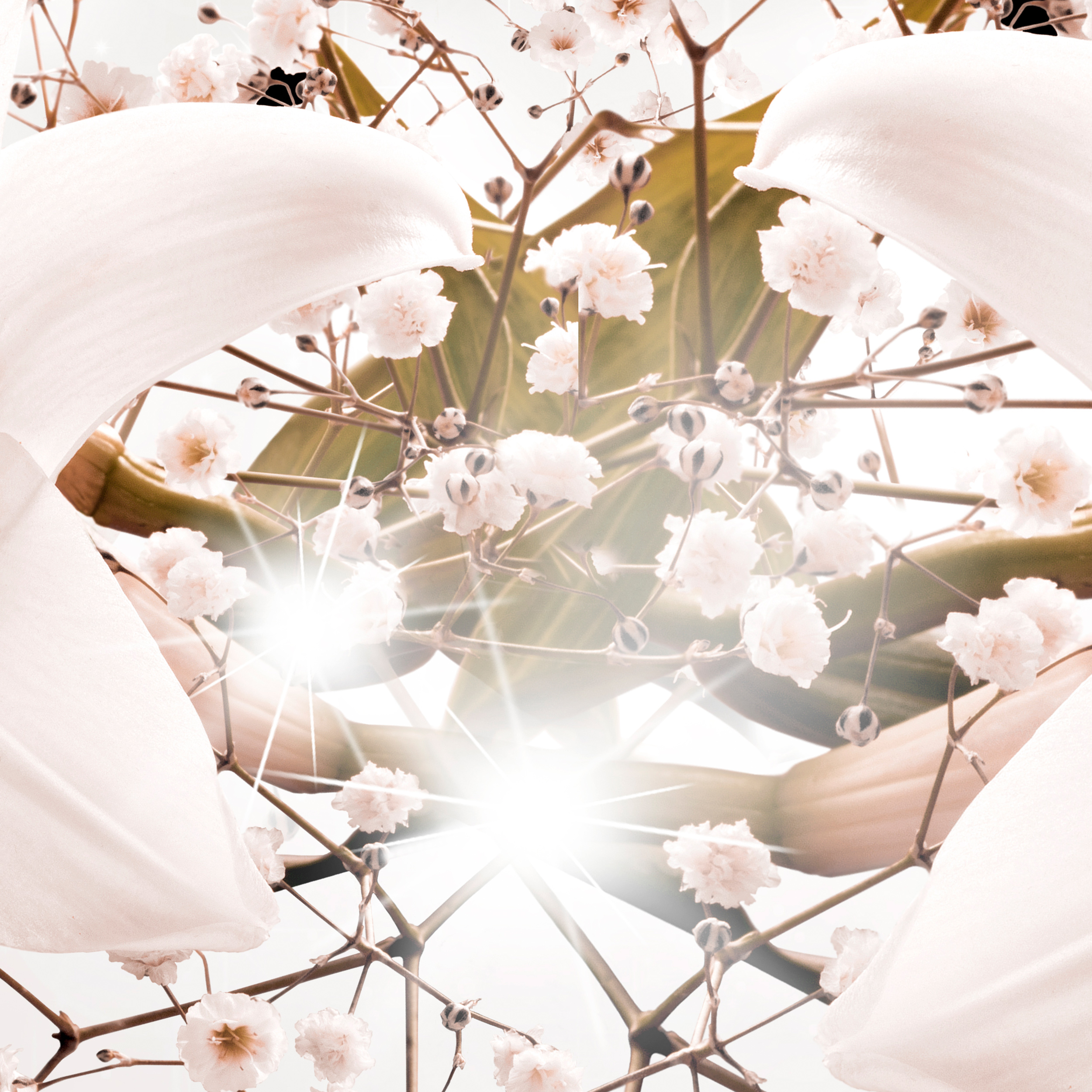 VLIES FOTOTAPETE Blumen Lilien 3D effekt TAPETE WANDBILDER