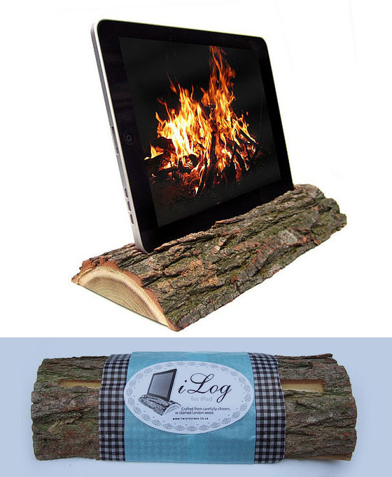 13 Cool and Useful iPad Accessories Design Swan