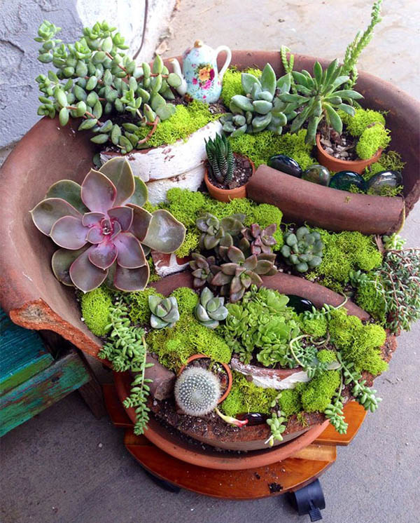 Fairy Gardens Made From Broken Planter Design Swan