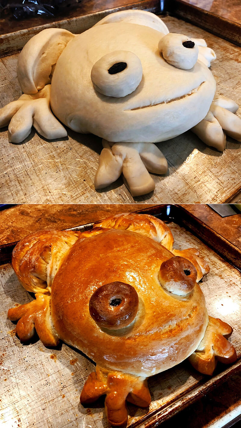 Frog Bread, The Latest Home Bakery Trend Design Swan