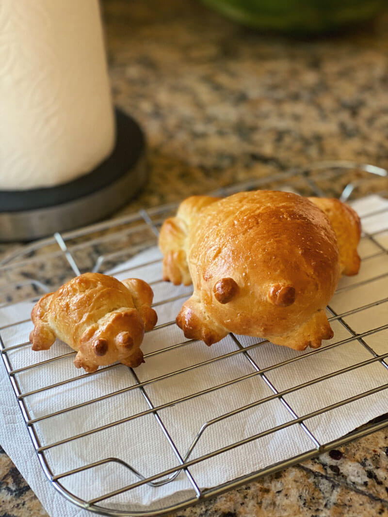 Frog Bread, The Latest Home Bakery Trend Design Swan