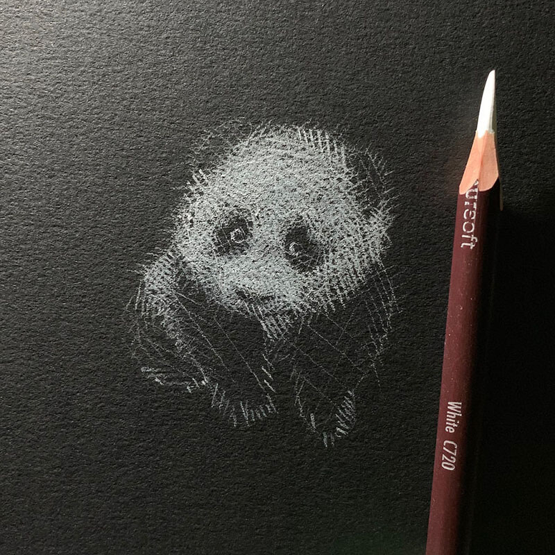 White Pencil on Black Paper A Perfect Way to Draw Gently Lit Faces