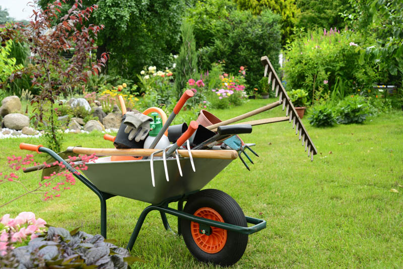 Reasons Why You Need to Hire a Professional Landscaper Design Swan