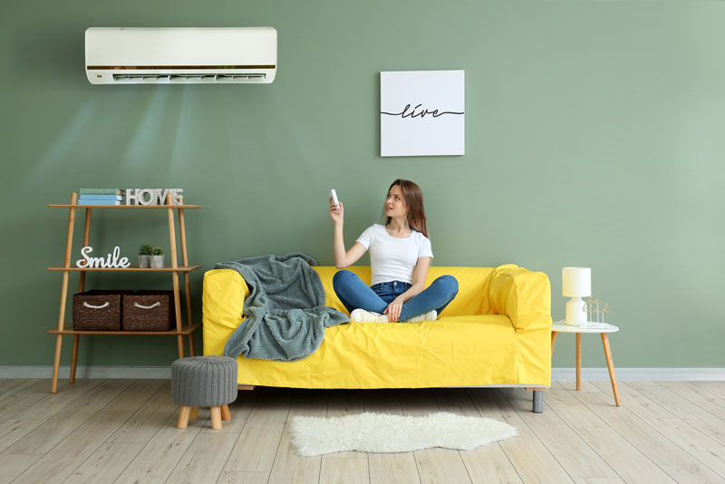 Make Your Air Conditioner Part of Your Interior Decor Design Swan