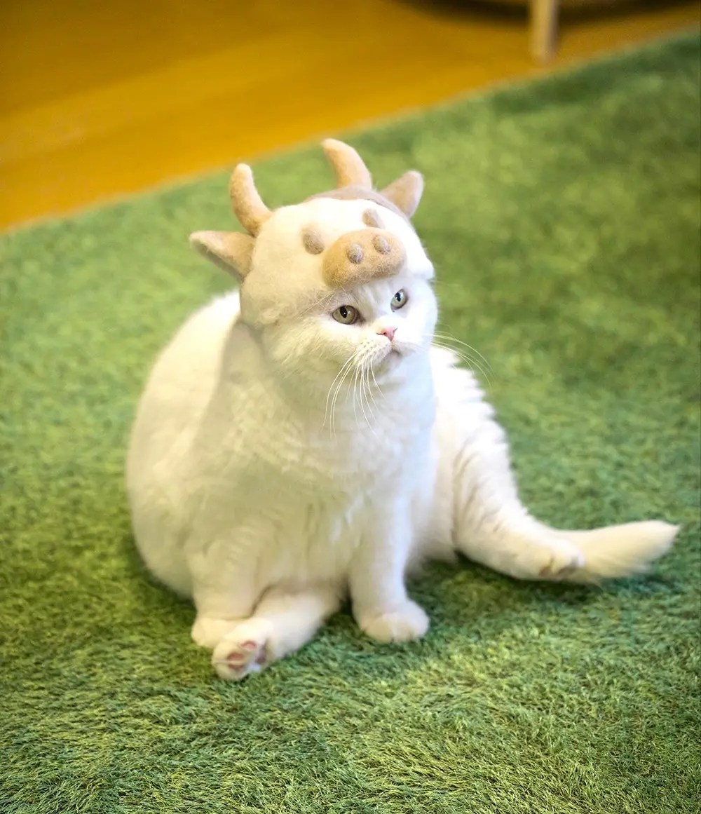 Creative CatHair Hats by rojiman & umatan Design Swan