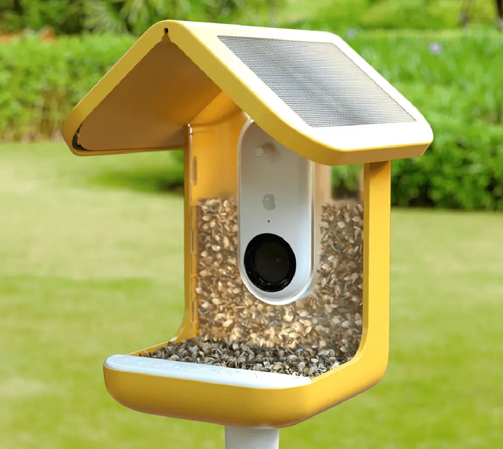 Bird Buddy The Ultimate Smart Bird Feeder Design Swan