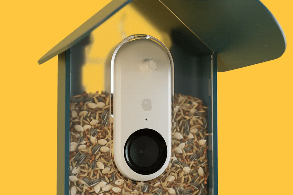 Bird Buddy The Ultimate Smart Bird Feeder Design Swan