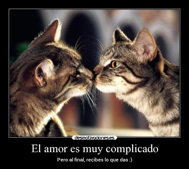 El amor es muy complicado Desmotivaciones