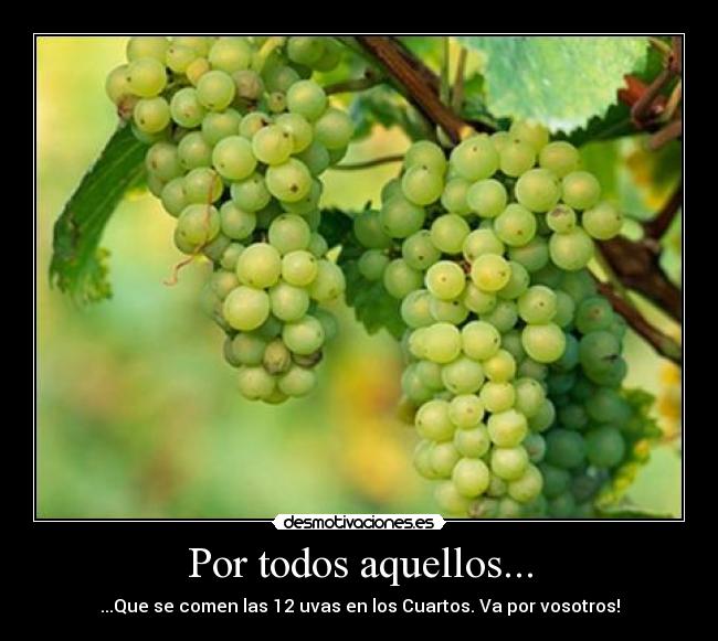 Imágenes y Carteles de UVAS Pag. 8 Desmotivaciones