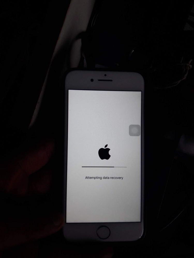 apple White screen of death devRant