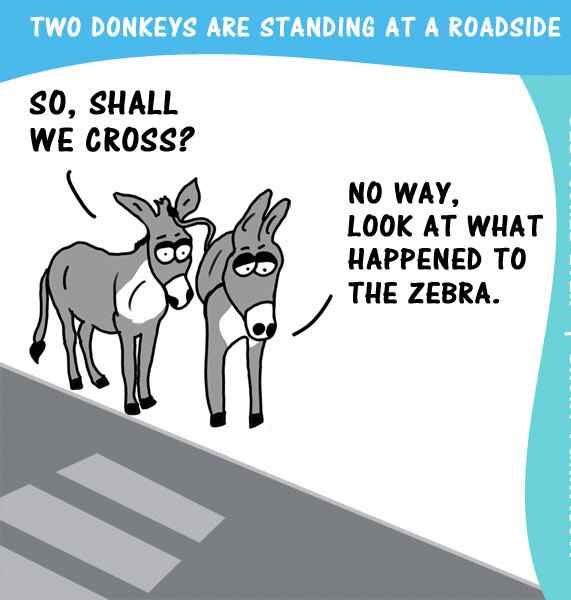 Zebra crossing need a change devRant