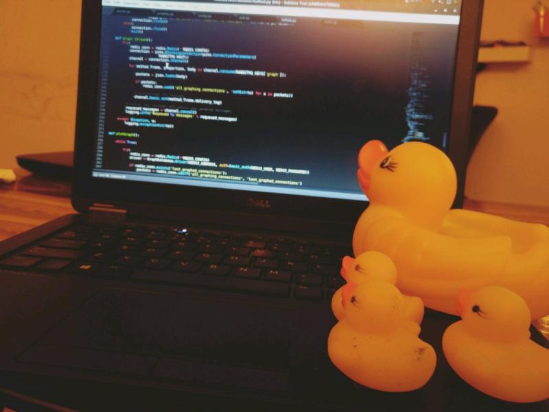 rubber duck debugging My new pair programming partner arrived today