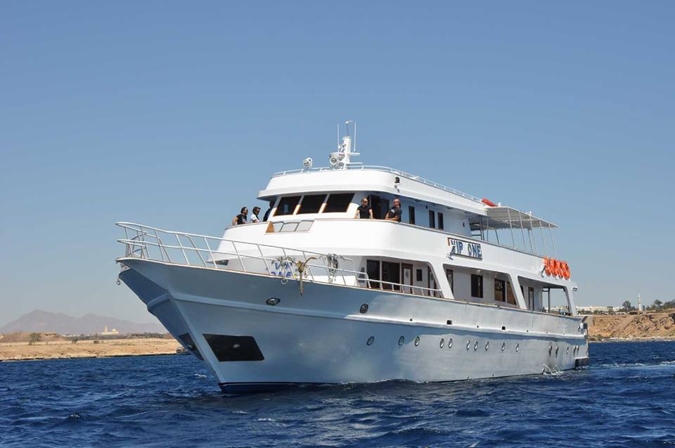 Red Sea Diving College Dive Shop Scuba Diving Sharm el Sheikh, Egypt