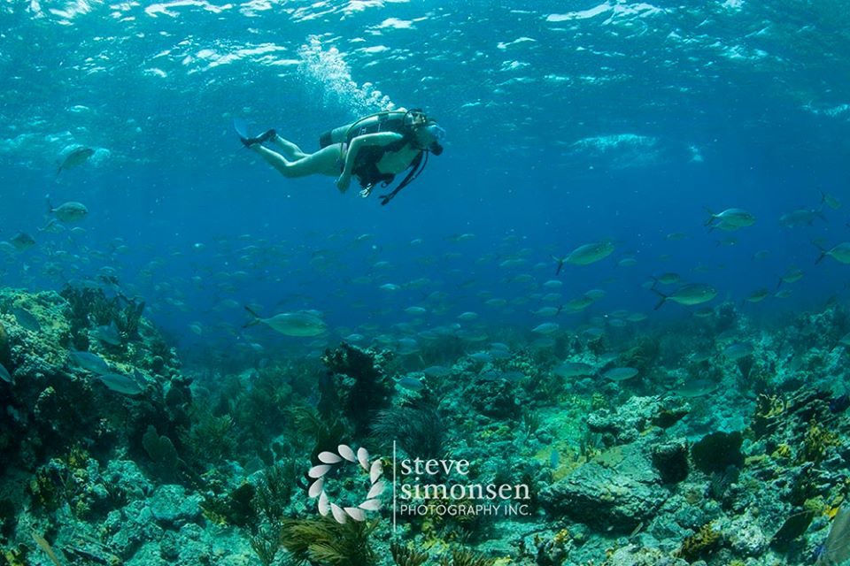 Low Key Watersports Dive Shop Scuba Diving US Virgin Islands