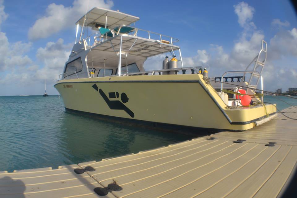S.E. Aruba Fly\N Dive Dive Shop, Noord Scuba Diving Aruba