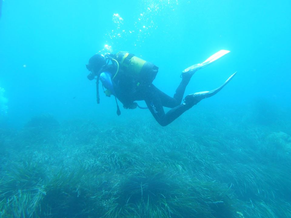 DIVE ACADEMY SANTA POLA Dive Shop Scuba Diving in Spain