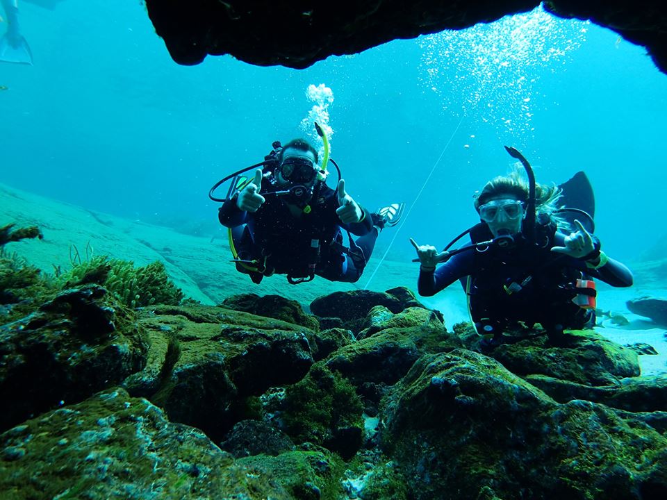 Adventures Under the Sea Dive Shop & Center, United States, Tampa