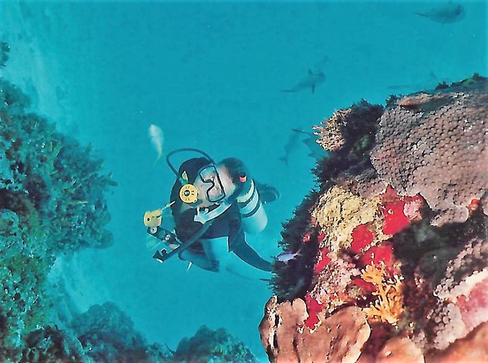 Studio Blue Cozumel Dive Shop, San Miguel Mexico Scuba Diving