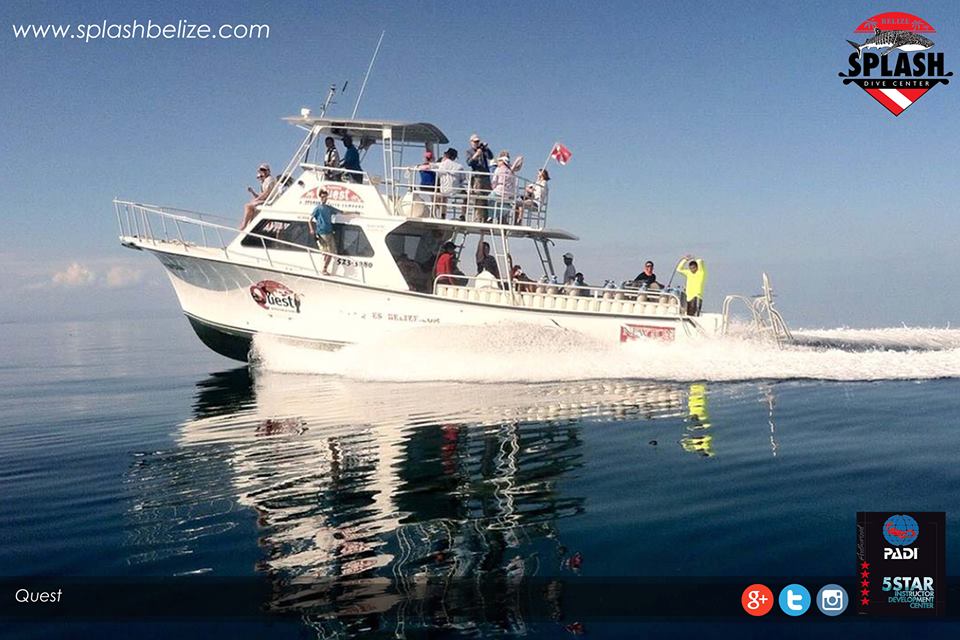 Splash Dive Center, Belize Diving Services Belize Scuba Diving