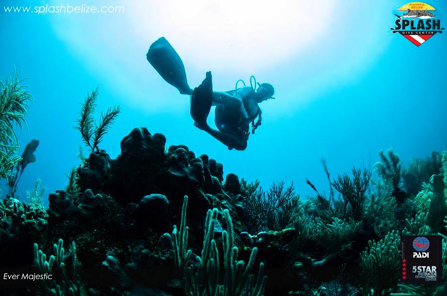 Splash Dive Center, Belize Diving Services Belize Scuba Diving