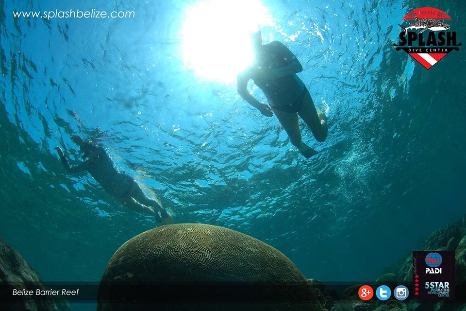 Splash Dive Center, Belize Diving Services Belize Scuba Diving