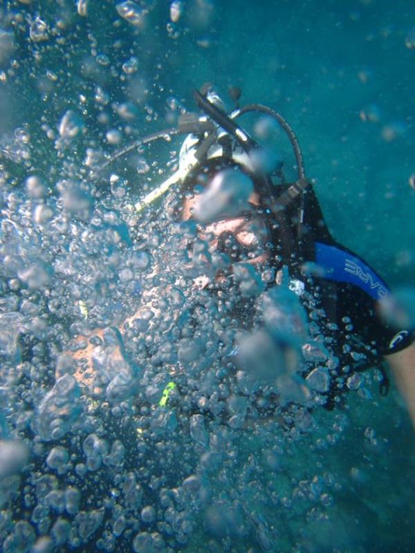 Galapagos Tip Top Dive & Training Facility Dive Shop Scuba in Diving Ecuador