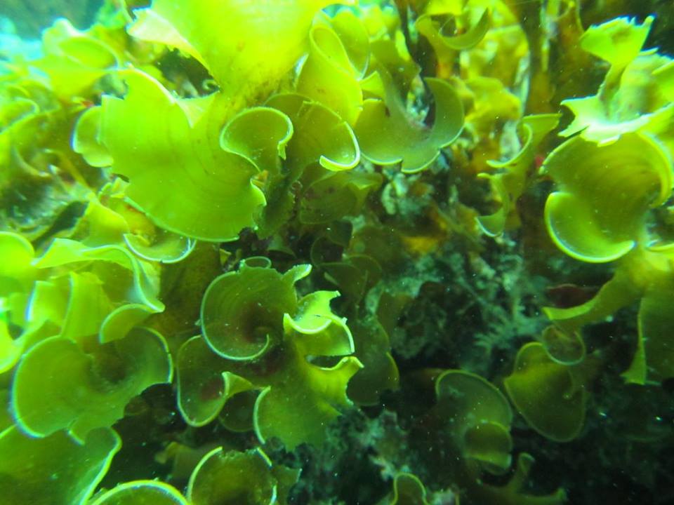 Galapagos Tip Top Dive & Training Facility Dive Shop Scuba in Diving Ecuador