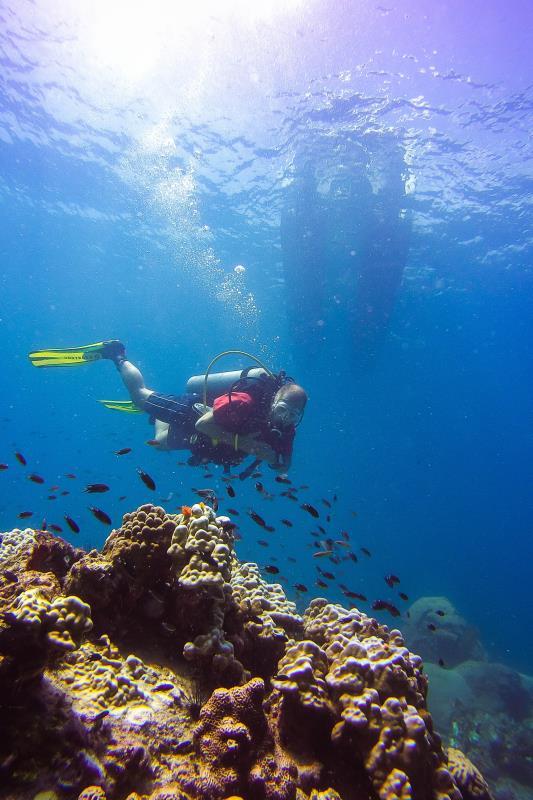 Calypso Diving Koh Samui Dive Shop, Thailand Koh Samui Diving