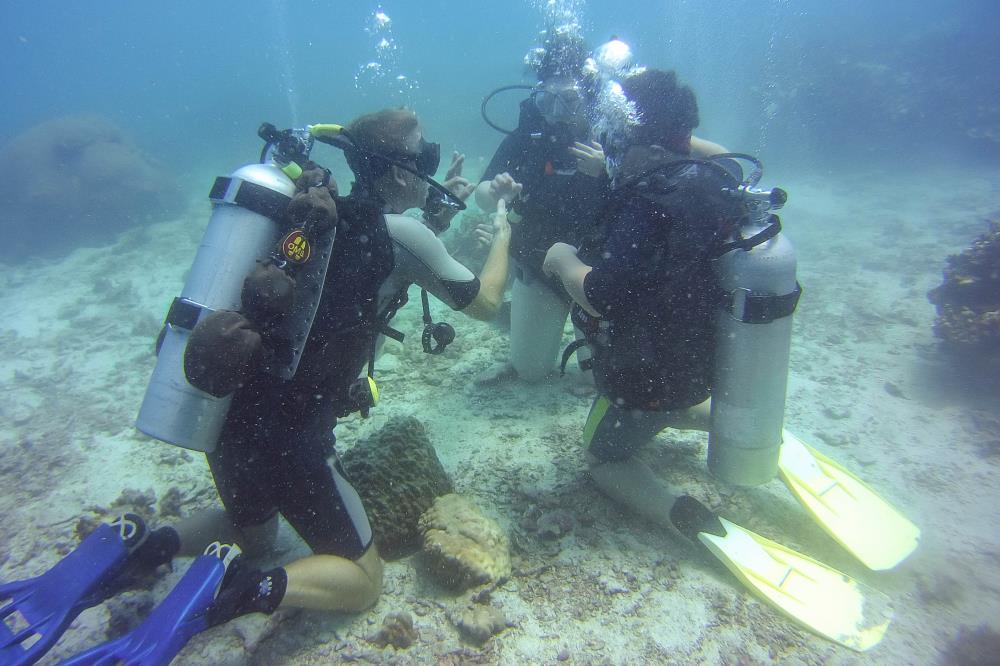 Calypso Diving Koh Samui Dive Shop, Thailand Koh Samui Diving