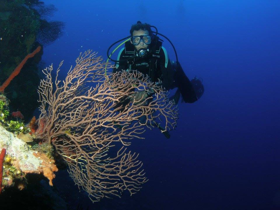 Diving Dynamics Dive Shop Scuba Diving Canada