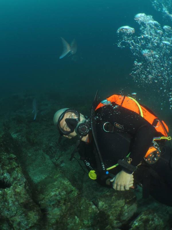 Paihia Dive Dive Shop Scuba Diving New Zealand