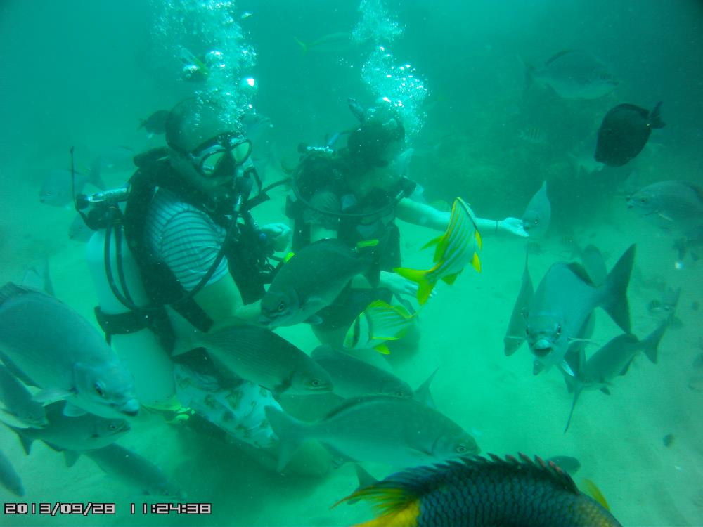 Caribe Aquatic Adventures Dive Shop Scuba Diving Puerto Rico