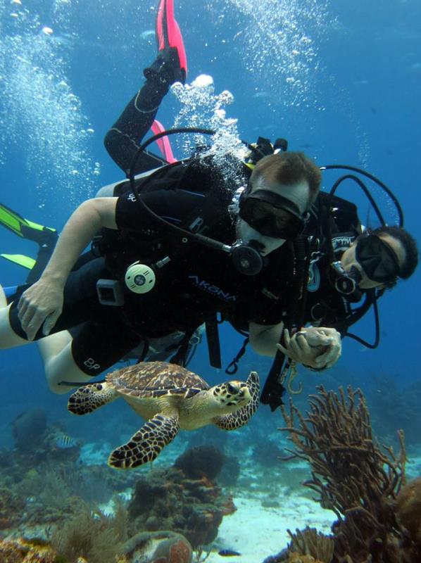 BLUE Project dive shop Dive Shop, Cozumel Mexico Scuba Diving
