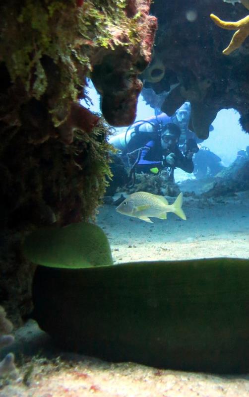 BLUE Project dive shop Dive Shop, Cozumel Mexico Scuba Diving