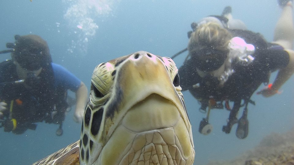 DIVERSIA Scuba Dive Shop in gili trawangan Dive Indonesia