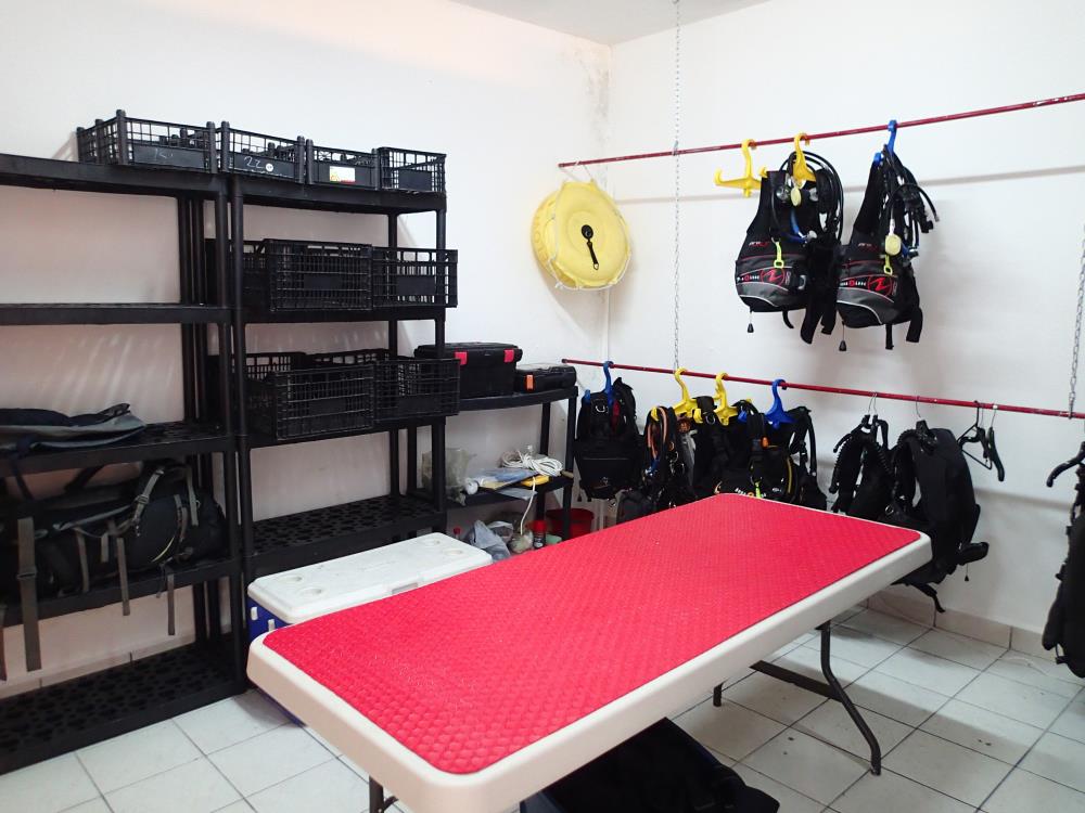 Grand Cozumel Diving Dive Shop, Cozumel Mexico Scuba Diving