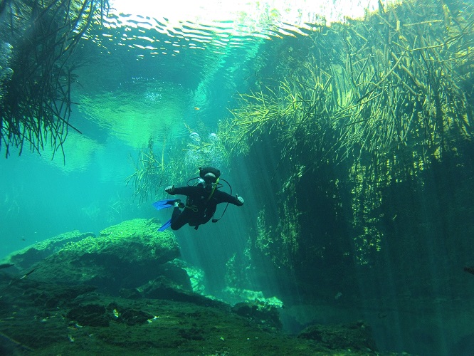 Glidewater Tulum Dive Shop, tulum Mexico Scuba Diving