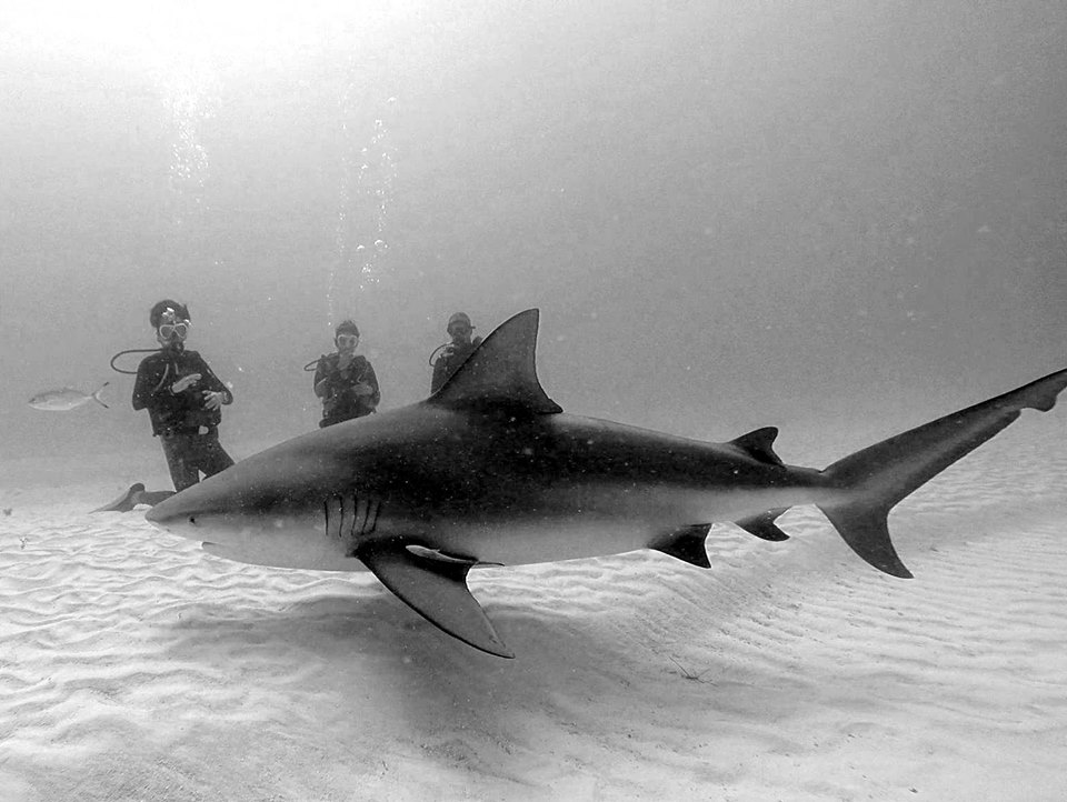 Scuba Total Cancun Dive Shop, Cancun Mexico Scuba Diving