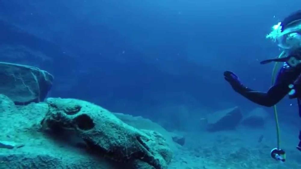 Santa Rosa Blue Hole Dive Shop & Center, United States, Cuervo