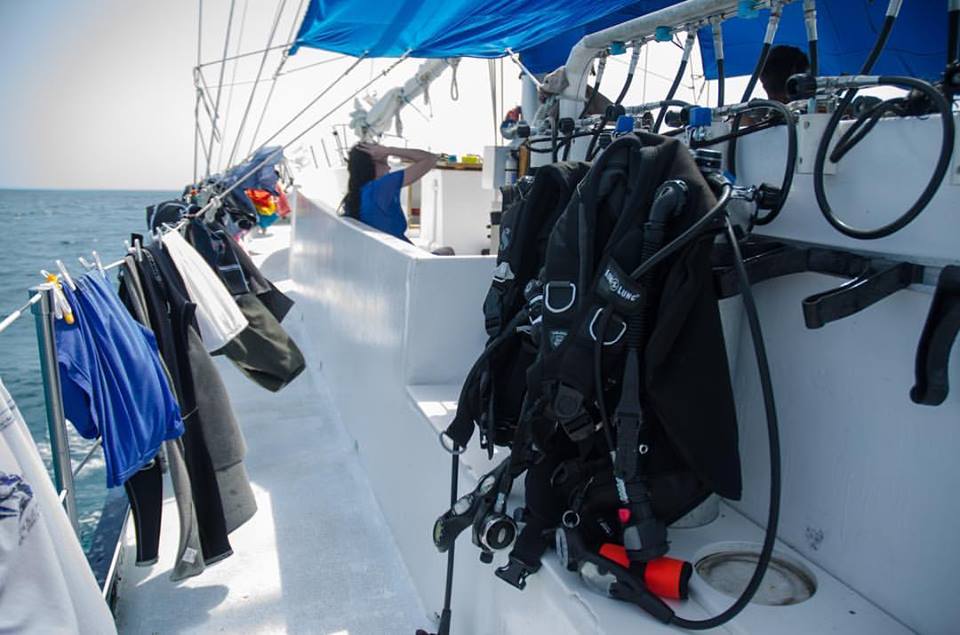 Louisville Dive Center Dive Shop & Center, United States, Newburg