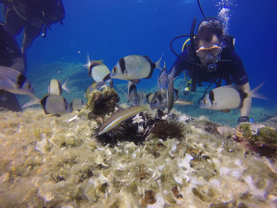 SKIATHOS DIVING CENTER Dive Shop Scuba Diving Greece