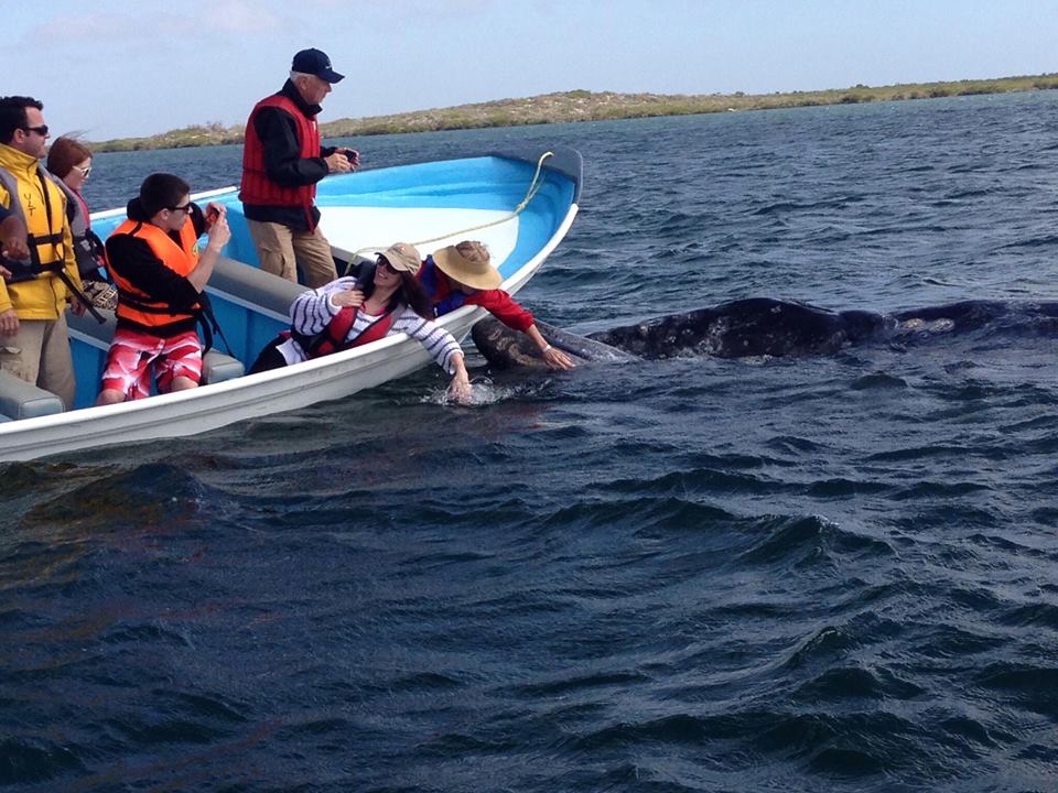 Los Cabos Deep Blue Dive Shop, Cabo San Lucas Mexico Scuba Diving