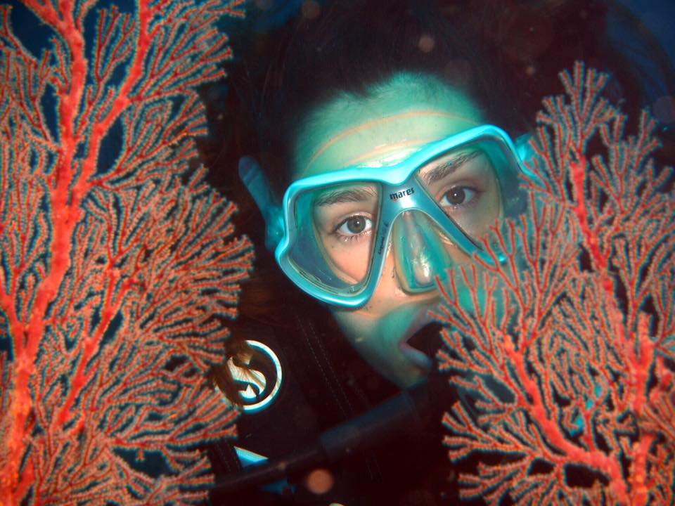 Arrows Dive Centre Bali Scuba Dive Shop in lovina Dive Indonesia